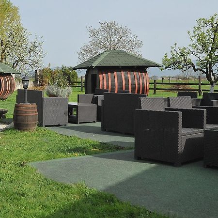 Klet Cinkus Bed & Breakfast Hrvatski Leskovac Eksteriør bilde