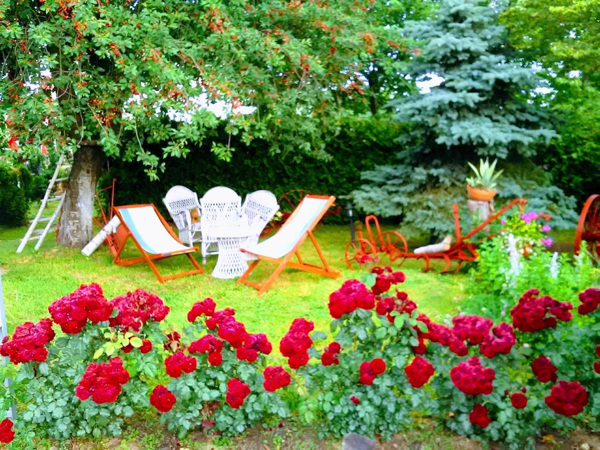 Klet Cinkus Bed & Breakfast Hrvatski Leskovac Eksteriør bilde