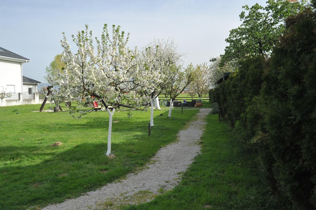 Klet Cinkus Bed & Breakfast Hrvatski Leskovac Eksteriør bilde